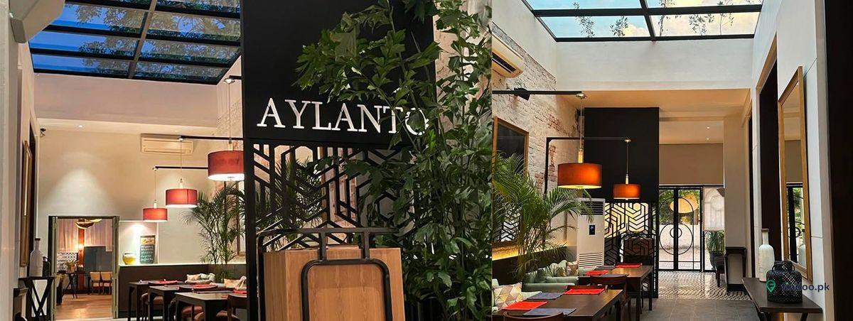 Café Aylanto -- M M Alam