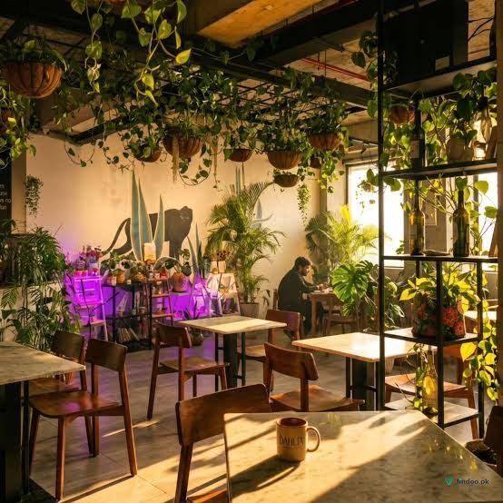 Dahlia (Nursery + Cafe)