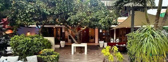 Cafe Aylanto