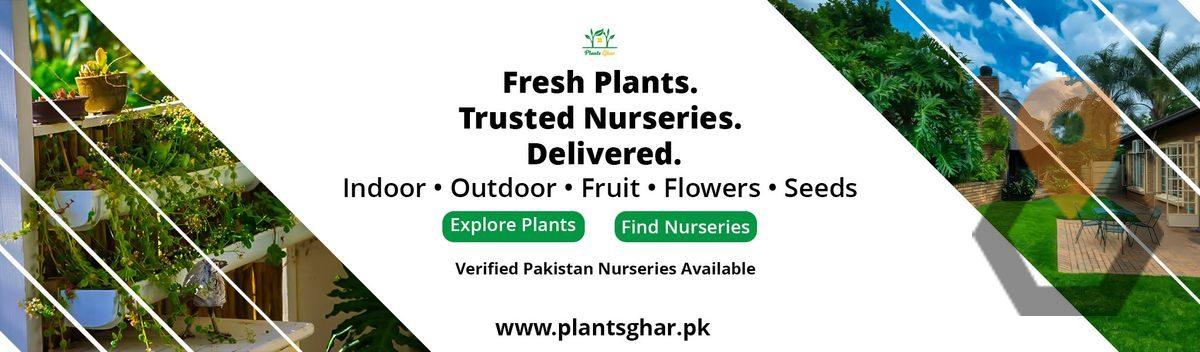 Plants Ghar